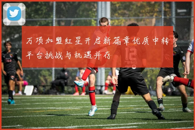 万项加盟红星开启新篇章优质中转平台挑战与机遇并存